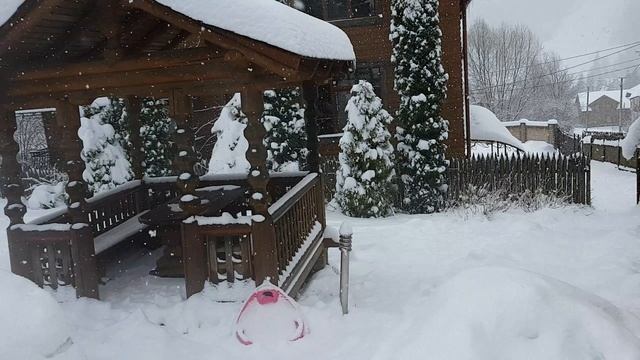 Вынужденный отдых в Карпатах