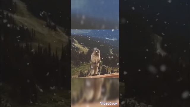 Мини игра хомяк 17 февраля решение головоломки с ключом