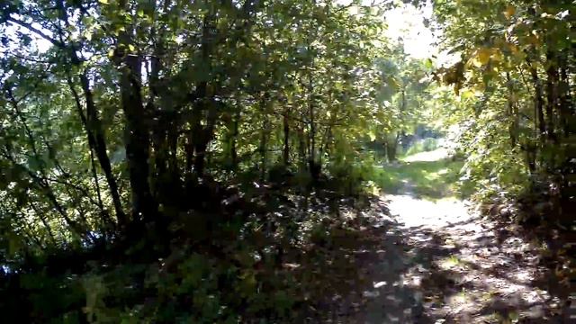 Голубиный грот (природный парк «Мурадымовское ущелье»).