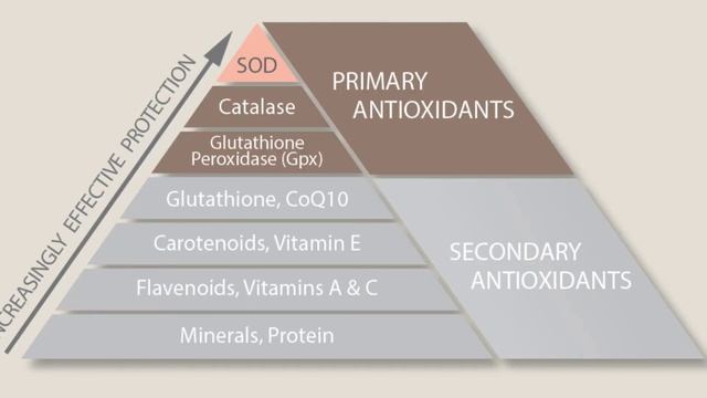 The most powerful antioxidant that you're not taking