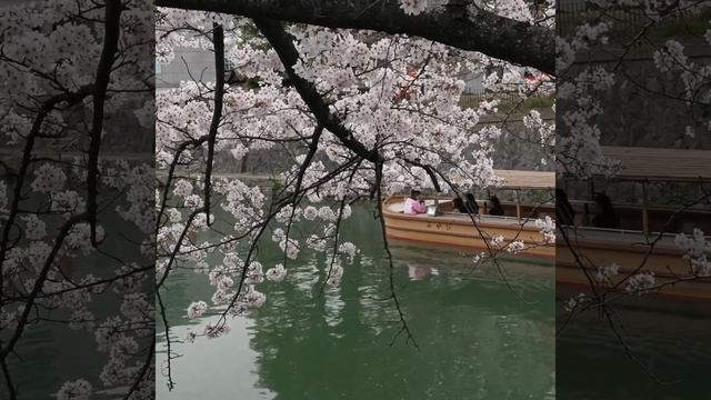 Kyoto Keage Incline & Okazaki Sakura Corridor