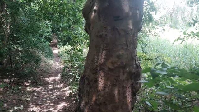 Дорога ДОМОЙ. Часть - 3. Лес,Тютина,Природа. Шикарный ВИД.#кропоткин #природа #ЛёхаБольшой #Лес