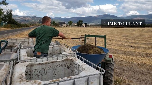 Planting Wild Rice