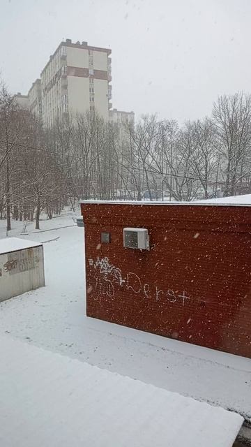 Февральский снег