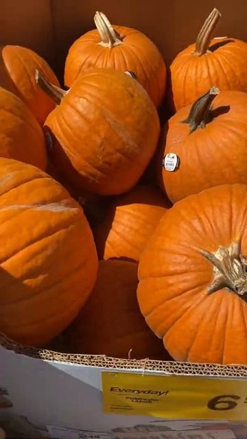 Fall#pumkin#тыква#usa#сша#reel#shortvideos#осень#halloween#fall#cutie#dope#forfun