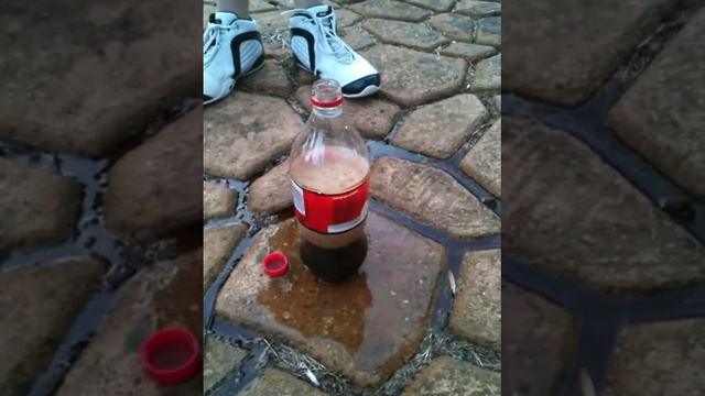 Elements Science project - Soda + Mentos Reaction