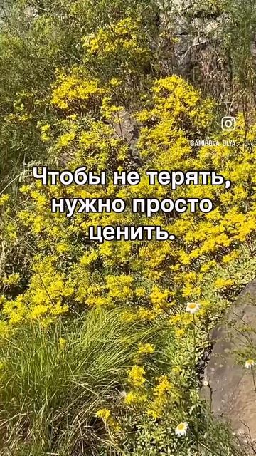 Берегите друг друга
