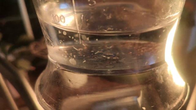 Strawberry breeding /  part 2 harvesting seeds