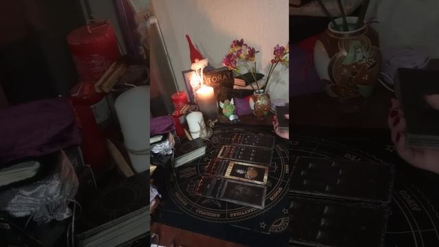 🥺😱 ЖИЗНЬ ГОСПОЖИ БЕЛАДОННЫ😳🫣