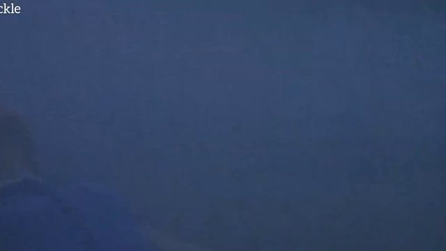 The Notebook ft Pirai Thedum|Ryan Gosling| Rachel McAdams|Hakuna_Tackle|Tamil edit