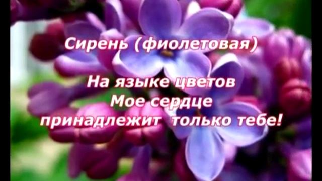 1000000054.mp4