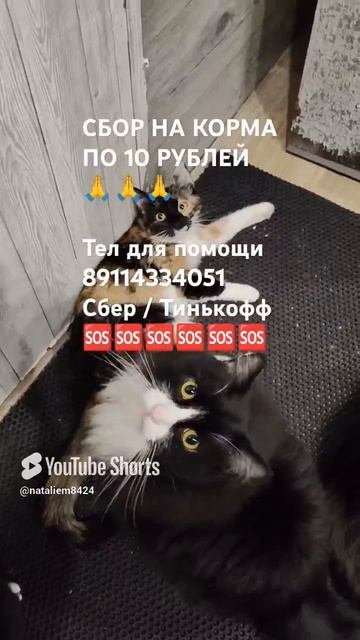 ЧЕЛОВЕК ПОМОГИ 🙏🆘