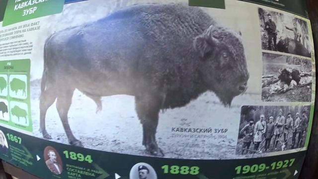 Богдан в туристическом семейном лагере. Гузерипль. Адыгея