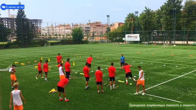 Тренировка координации ловкости и скорости / Coordination, agility and speed training