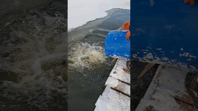 Добавили 136 кг