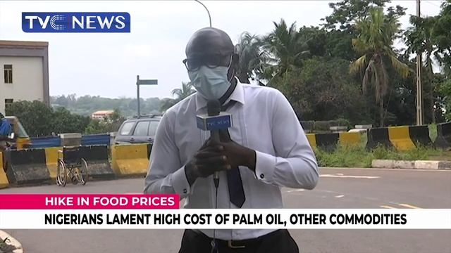 Nigerians Lament High Cost Of Palm Oil, Other Communities