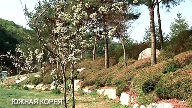 32 ЮЖНАЯ КОРЕЯ