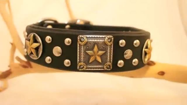 Cerberus Designs - Leather Dog Collars Fall Collection 2011