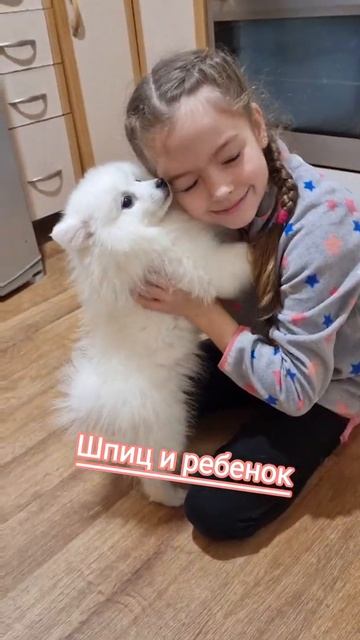 Любовь щенка шпиц и ребёнка