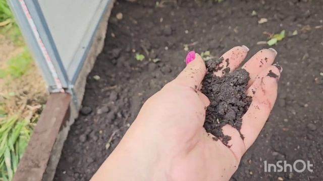 Хочешь большой урожай огурцов? Тогда смотри моё видео 🙏🙏🙏