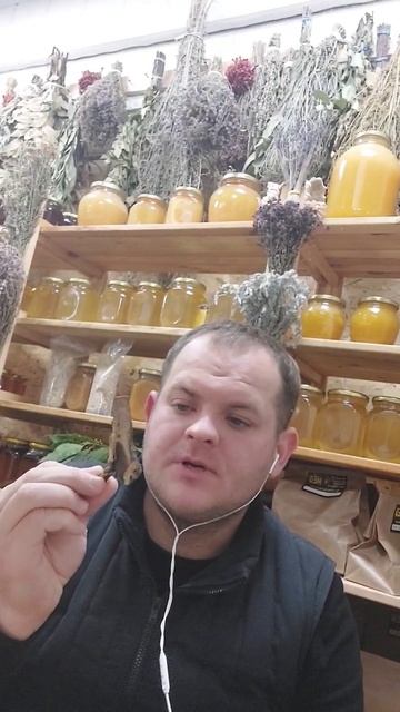 марьин корень