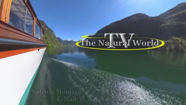 МУДРОСТЬ ЖИЗНИ 💞 Цитаты/Прича.🥀"KÖNIGSSEE" die schönste Schifffahrt St. Bartholomä - Deutschland