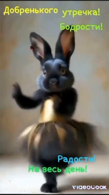 смешное видео