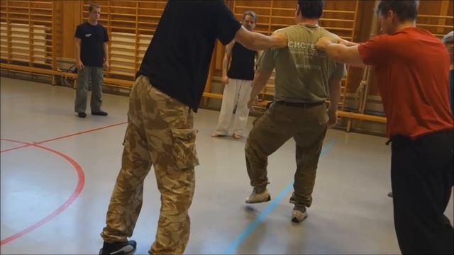 Seminar highlights with Artem Usov