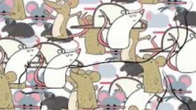 Тест на внимательность.