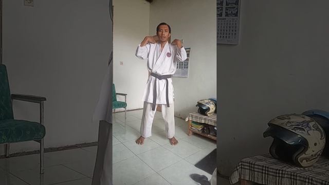 choku zuki salah satu pukulan karate