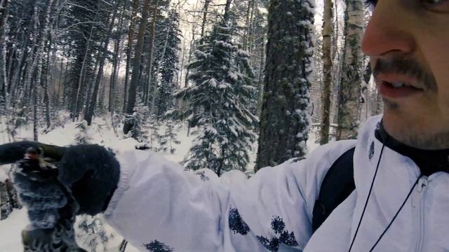 Любимая охота на рябчиков. Зимняя прогулка. Видел тетерева
