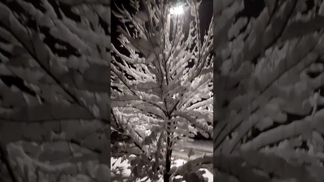 Добрый вечер.💕🖐️