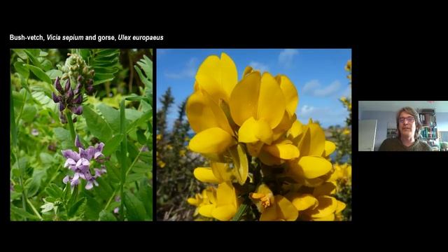 Spring Botany Talk
