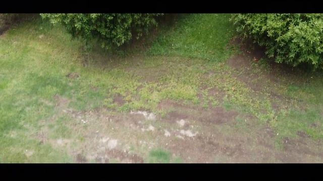 Mavic Mini - Macadamia Trees