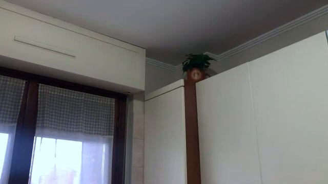 home tour aggiornato e con decorazioni autunnali 🏠