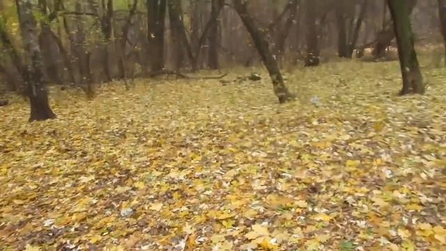 В середине октября 2021, поэтическое настроение)