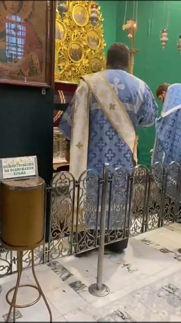 Святитель Лука мощи