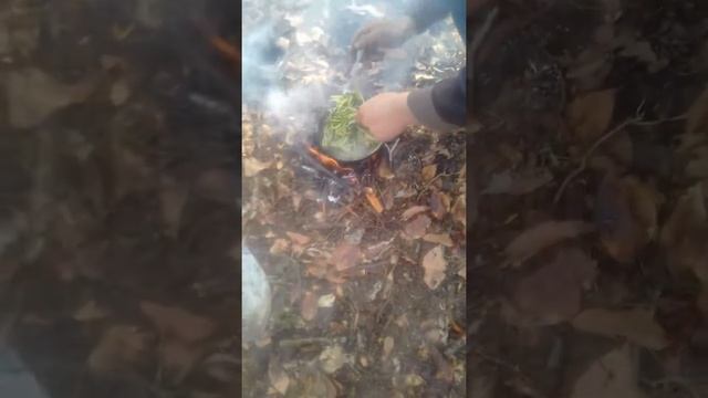 Чеченский хьонк