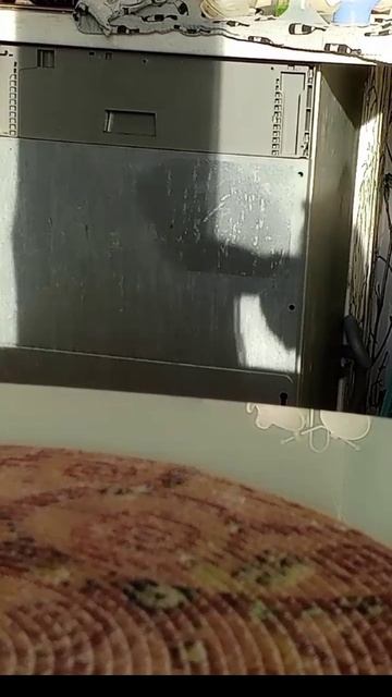 моя тень когда просто пьют тархун