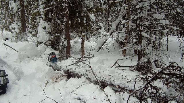 эксперимент в теплице