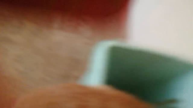 🤣🤣🤣🤣🤣🤣😿😿😿😿🐱🐱🐱