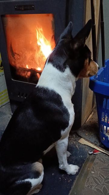 Санечка в гостях у бабушки с дедушкой