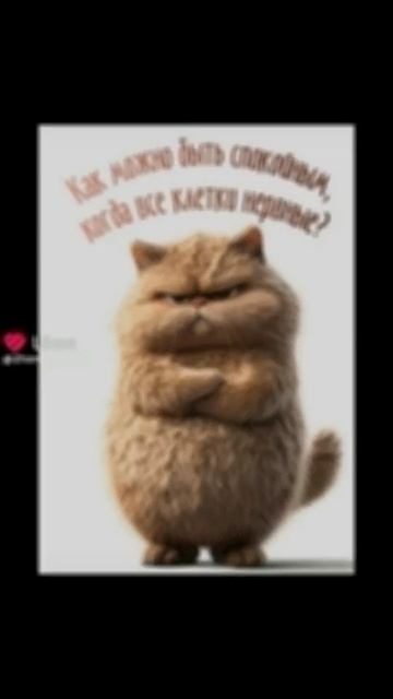 юмор 😄