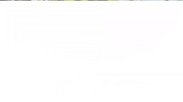 As três maiores árvores do mundo