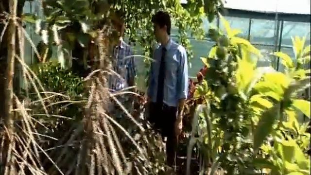 Bird eaten by plant