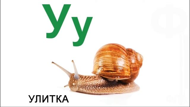 Учим азбуку с котом Рыжиком. Буква У