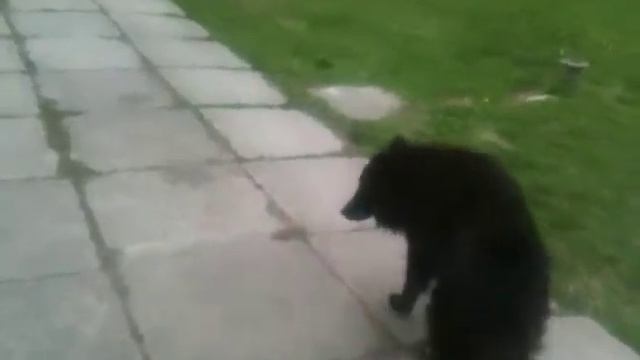 У фасада магазина