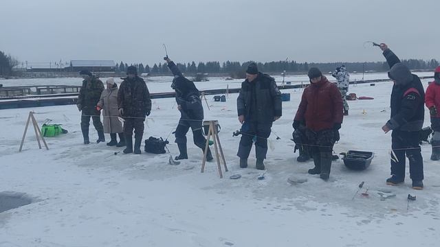 Запуск форели в акваторию 90кг