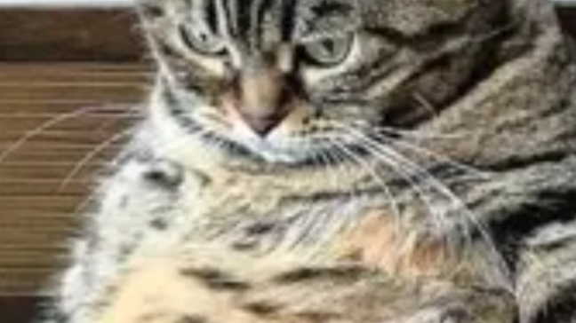 что будет в дальнейшем с моим каналом