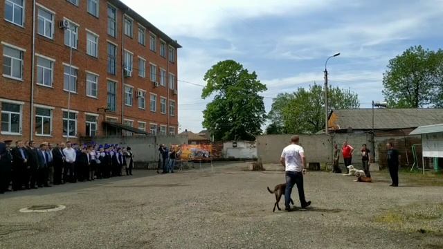 Показательные выступления Адыгея